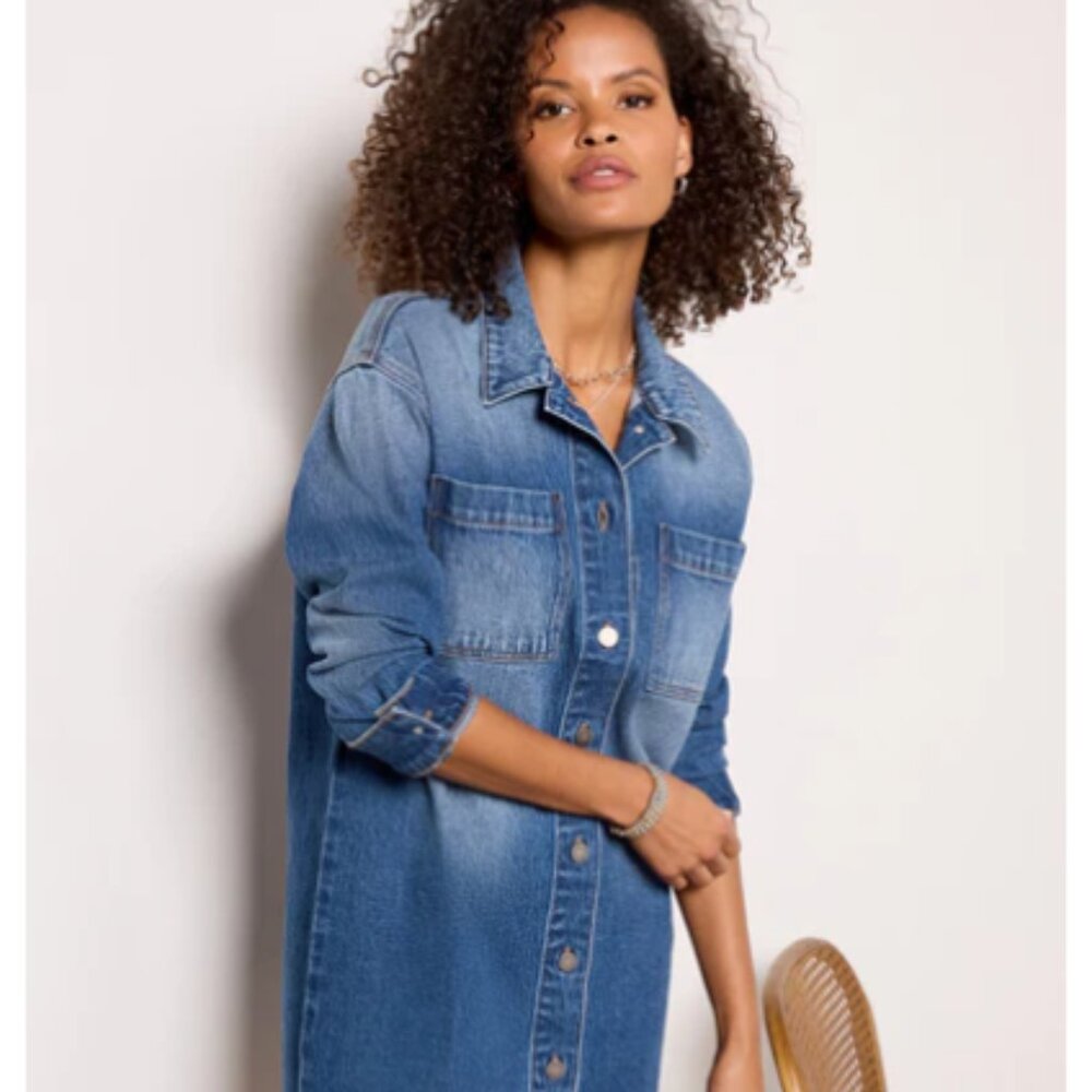 Evereve Ever Denim Dress Women's Size XS